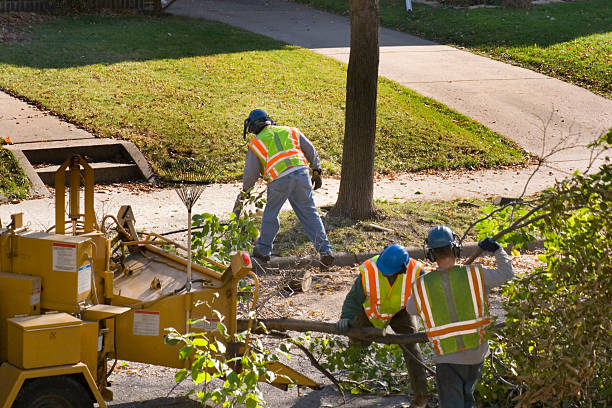 Best Utility Line Clearance  in West University Place, TX